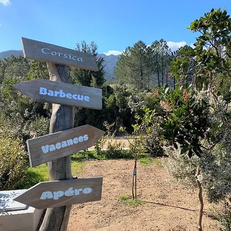 Neuve Avec Piscine Chauffee Sainte-Lucie de Porto-Vecchio